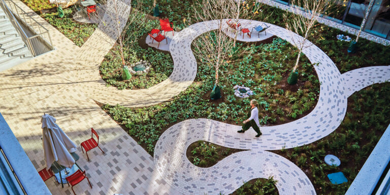 Paths cleared and futures revealed